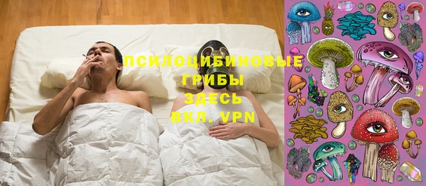 мяу мяу мука Кинешма