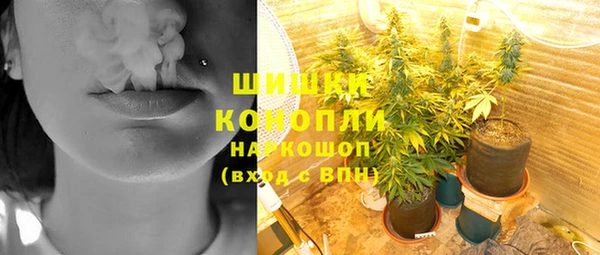 мяу мяу мука Кинешма