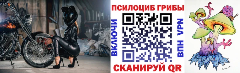 Псилоцибиновые грибы Magic Shrooms  Купить  Тимашёвск 